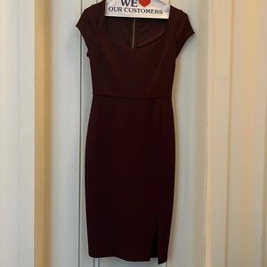 Express Burgundy Fitted Dress